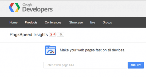 Google PageSpeed for SEO